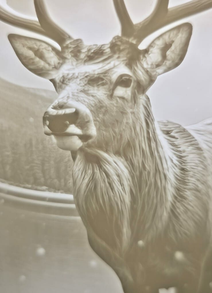 WhatsApp Image 2025-12-27 at 17.30.08 (6)